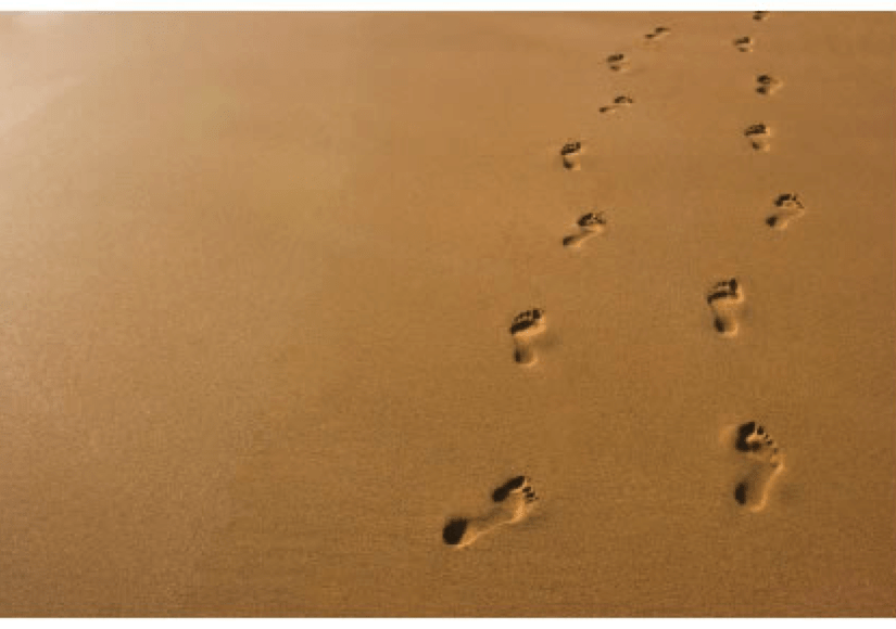 Follow the footsteps of Christ