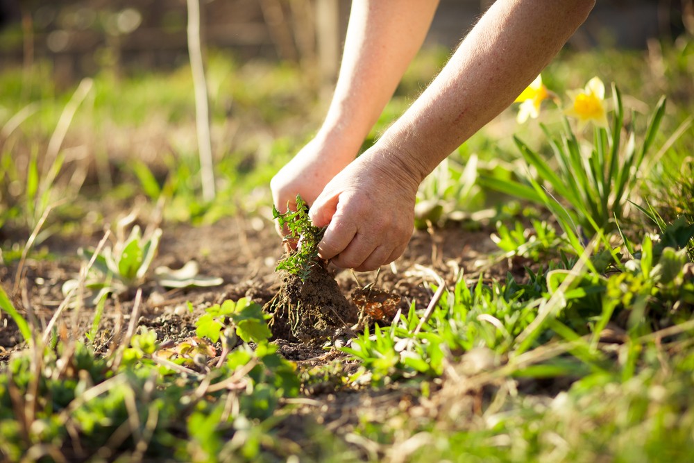 It’s Time To Stop Watering Weeds & Pull It Away From Your Life